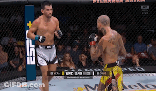 Two Men Fighting In Cage With UFC Sign GIF