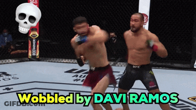 Two Men Fighting In Cage Wobbled By Daviramos GIF