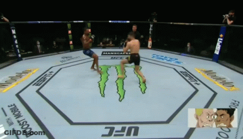 Two Men Fighting In Monster UFC Ring GIF
