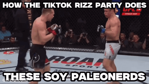 Two Men Fighting In Ring How The TikTok Rizz Party Does These Soy Paleonerds GIF