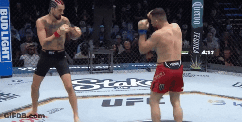 Two Men Fighting In Ring With Bud Light Banner GIF