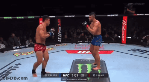 Two Men Fighting In Ring With Budweiser Ad GIF
