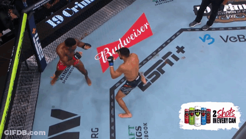 Two Men Fighting In Ring With Budweiser Advertisement GIF