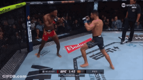Two Men Fighting In Ring With Budweiser Advertisement GIF