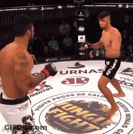 Two Men Fighting In Ring With Jungle Fight Floor GIF