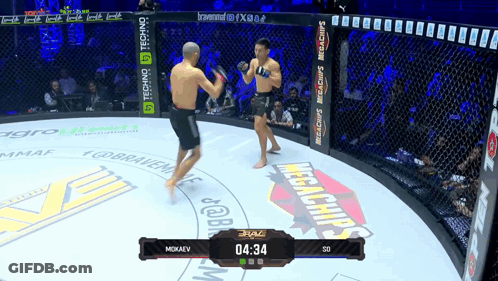 Two Men Fighting In Ring With Megachips Banner GIF