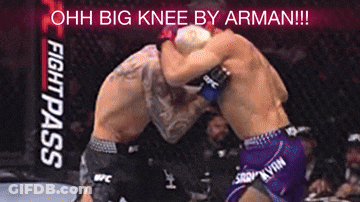 Two Men Fighting In Ring With Ohh Big Knee By Arman GIF