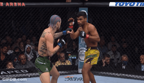 Two Men Fighting In Ring With Toyota Ad GIF