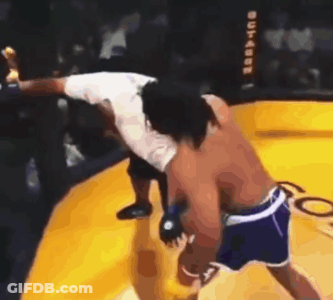 Two Men Fighting In Ring With UFC Sign GIF