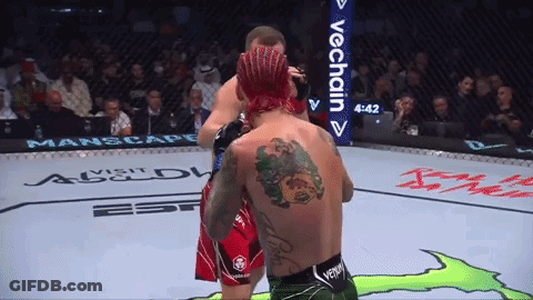 Two Men Fighting In Ring With VeChain Sign GIF