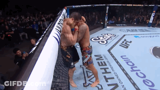 Two Men Fighting In State Chain UFC Boxing Ring GIF