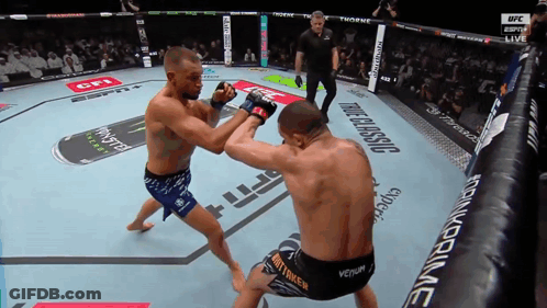 Two Men Fighting In UFC Boxing Ring GIF