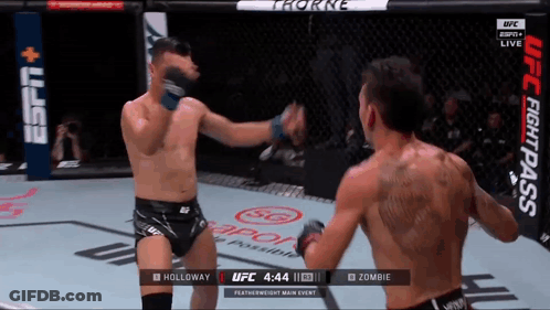 Two Men Fighting In UFC Cage GIF