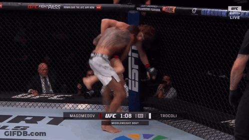 Two Men Fighting In UFC Cage With Fight Pass GIF