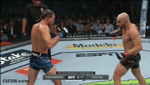 Two Men Fighting In UFC Featherweight Championship GIF