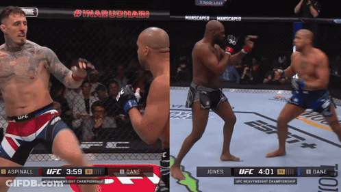Two Men Fighting In UFC Heavyweight GIF