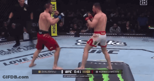 Two Men Fighting In UFC Match At 4:41 GIF