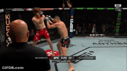 Two Men Fighting In UFC Ring GIF