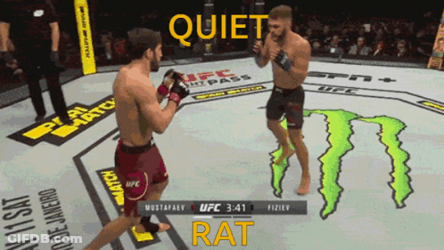 Two Men Fighting In UFC Ring Quiet Rat GIF