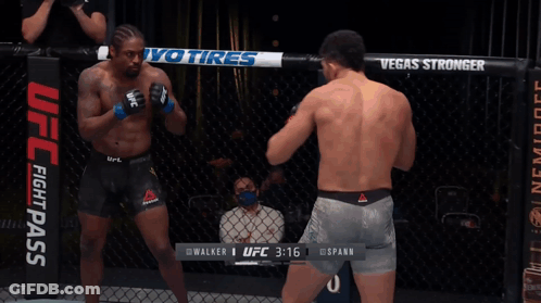 Two Men Fighting In UFC Ring Score 3:14 GIF