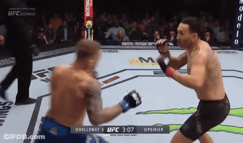 Two Men Fighting In UFC Ring GIF