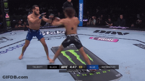 Two Men Fighting In UFC Ring With Bud Light GIF