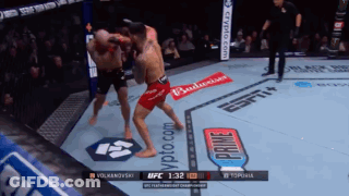 Two Men Fighting In UFC Ring With Budweiser Ad GIF