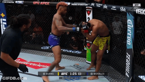 Two Men Fighting In UFC Ring With Budweiser Ad GIF