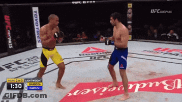 Two Men Fighting In UFC Ring With Budweiser Ad GIF