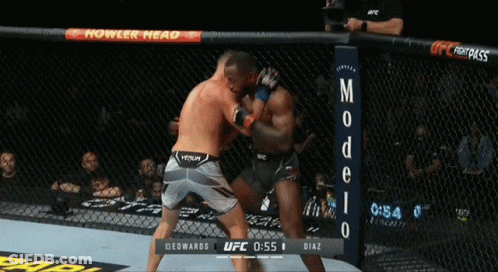 Two Men Fighting In UFC Ring With Howler Head Sign GIF
