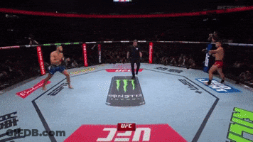 Two Men Fighting In UFC Ring With Monster Energy Can GIF