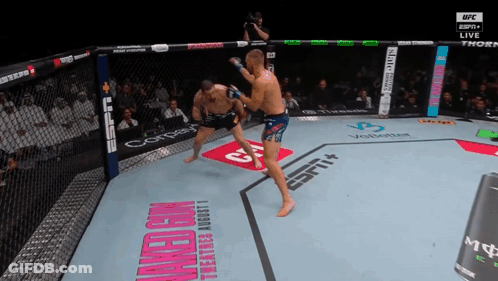 Two Men Fighting In UFC Ring With Naked Gun GIF