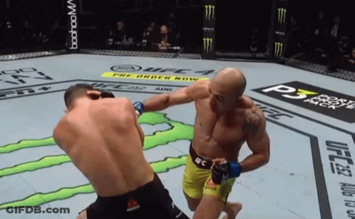 Two Men Fighting In UFC Ring With Reebok Shorts GIF