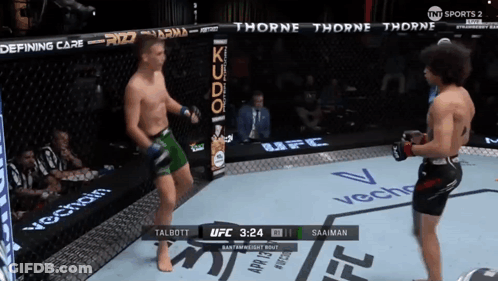 Two Men Fighting In UFC Ring With Thorne Thorne GIF