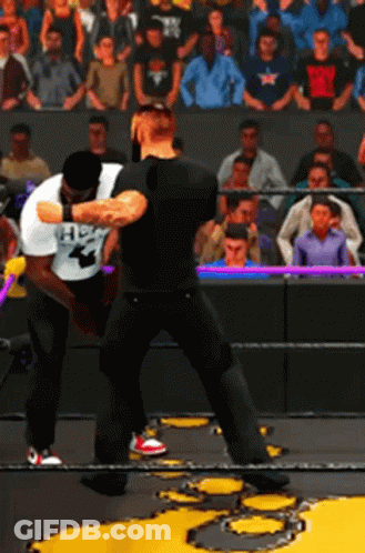 Two Men Fighting In Wrestling Ring One Wearing HHH Shirt GIF