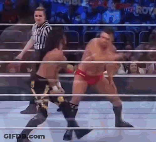 Two Men Fighting In Wrestling Ring With Referee GIF