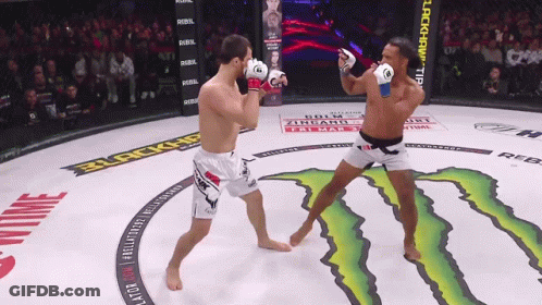 Two Men Fighting Monster In Boxing Ring GIF