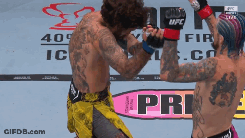 Two Men Fighting Near Sign Saying Pri GIF