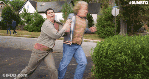 Two Men Fighting On Road With Dumbto GIF
