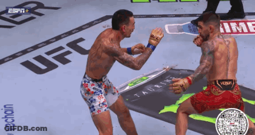 Two Men Fighting UFC Logo GIF