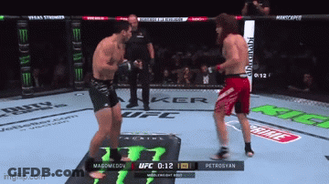 Two Men Fighting UFC Ring Monster Energy Logo GIF