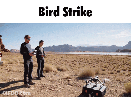 Two Men Flying Drone In Desert With Bird Strike GIF