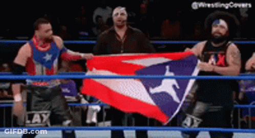 Two Men Holding Flag In Wrestling Ring GIF