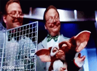 Two Men Holding Gremlin Stuffed Animal GIF