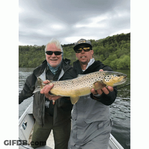 Two Men In A Boat Holding A Brown Trout With One Wearing A Hat That Says ' Fishing ' On It GIF
