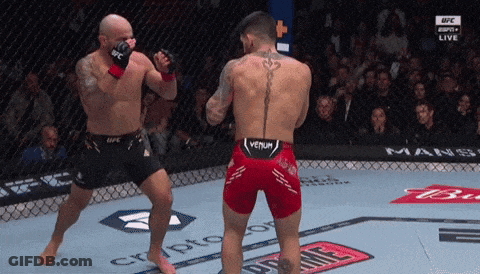 Two Men In A Boxing Ring With One Wearing A Venum Shorts GIF