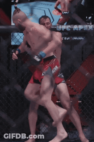 Two Men In A Boxing Ring With Ufc Written On The Fence GIF
