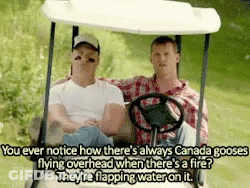 Two Men In A Golf Cart With A Caption That Says You Ever Notice GIF