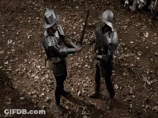 Two Men In Armor Holding Swords In Woods GIF