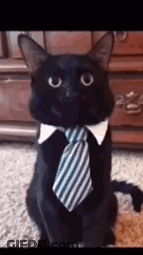 Two Men In Black And White 2021 GIF